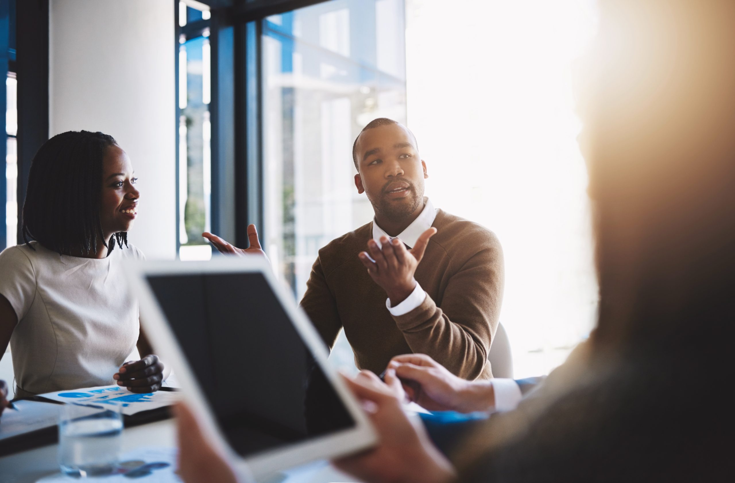 Opulence Capital business consultation